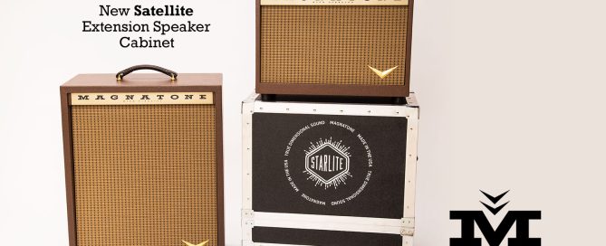 Magnatone Satellite Extension Speaker