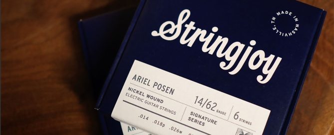 Stringjoy Ariel Posen Artist Set
